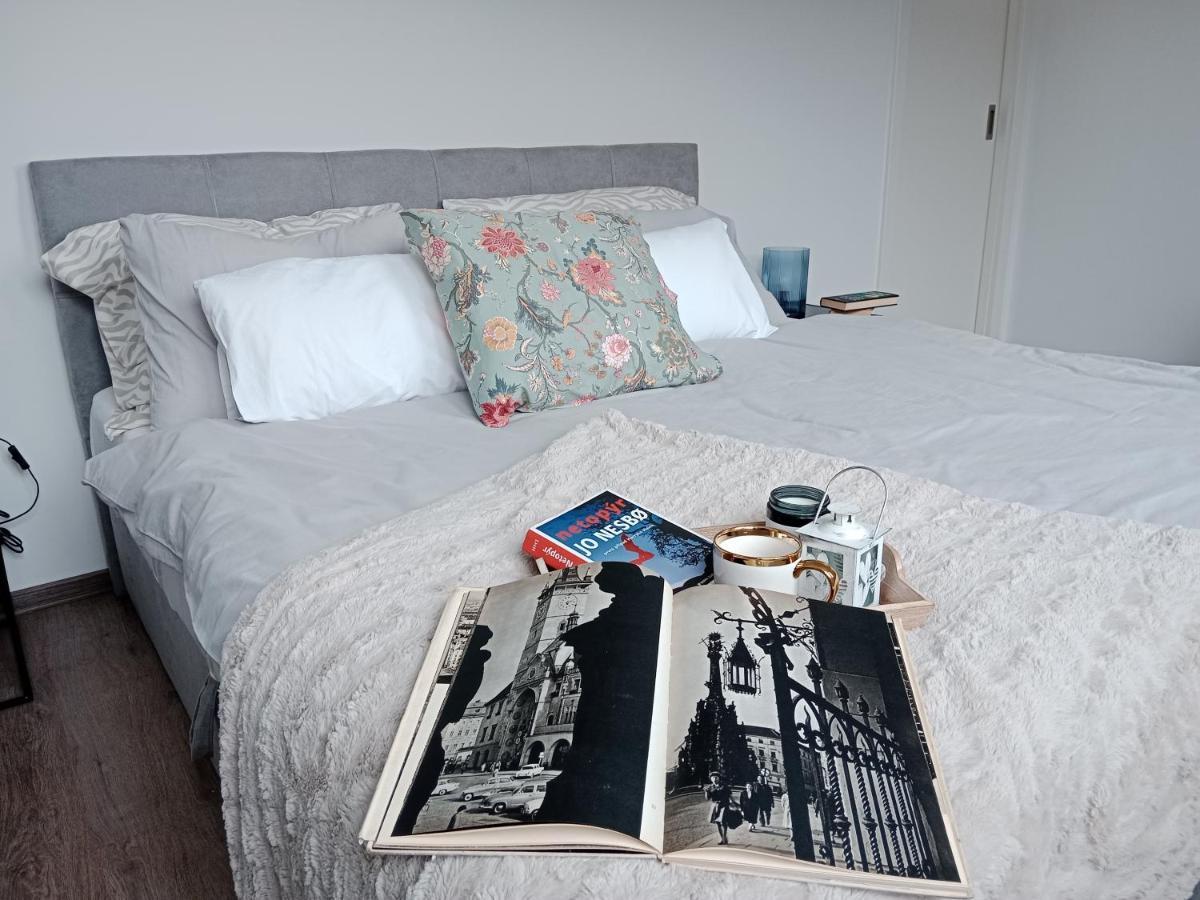 J&Z Apartman Olomouc Esterno foto